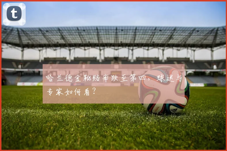 哈兰德金靴赔率跌至第四，球迷与专家如何看？