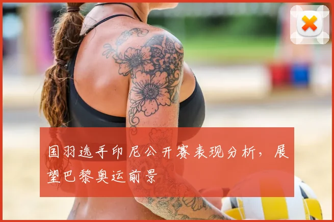 国羽选手印尼公开赛表现分析,展望巴黎奥运前景