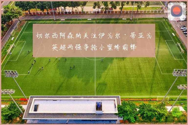切尔西阿森纳关注伊戈尔·蒂亚戈,英超两强争抢小蜜蜂前锋
